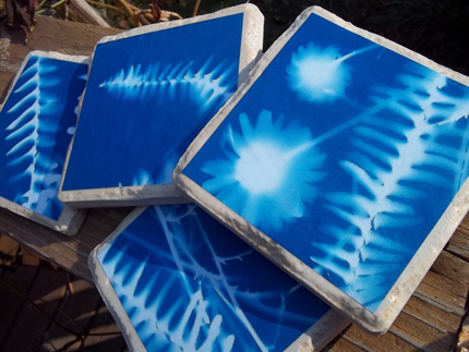 Sun Print Coasters