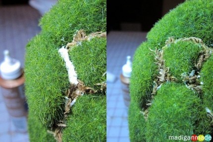 Guest Post: Easy Moss Topiary