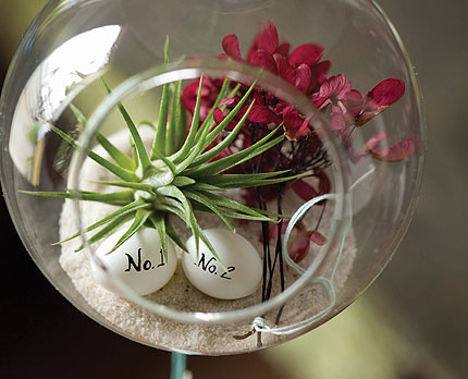 Book Review: Terrarium Craft: Create 50 Magical, Miniature Worlds