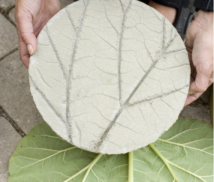 Rhubarb Stepping Stones