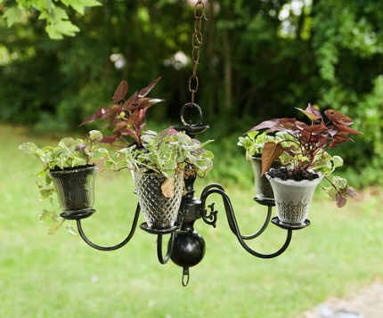 Chandelier Planter