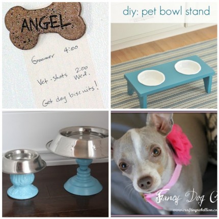 4 Fun Dog Projects