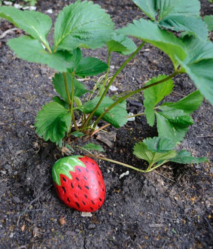 Strawberry Decoys