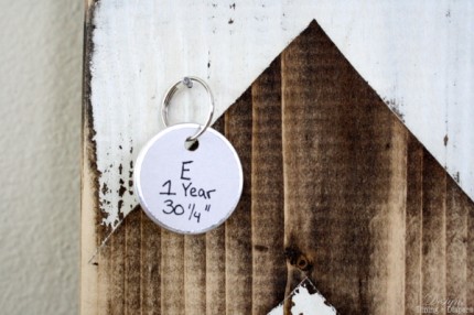 Rustic Growth Chart