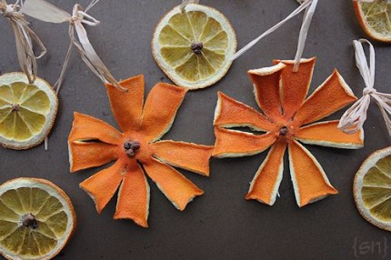 Sunny Citrus Ornaments