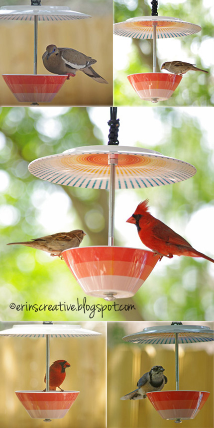 Bird Feeder from Dishes