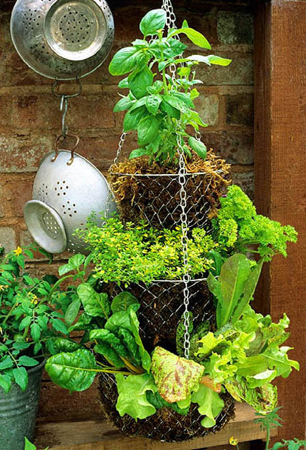 13 Planter Ideas for Your Container Garden @craftgossip