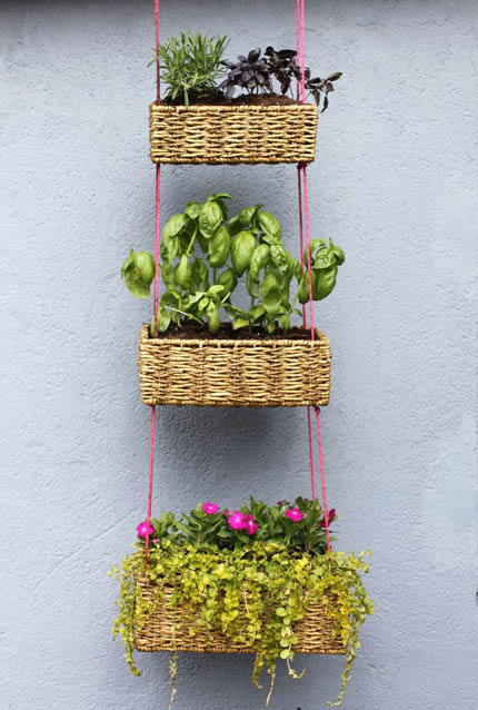 13 Planter Ideas for Your Container Garden @craftgossip