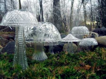 crystal mushrooms