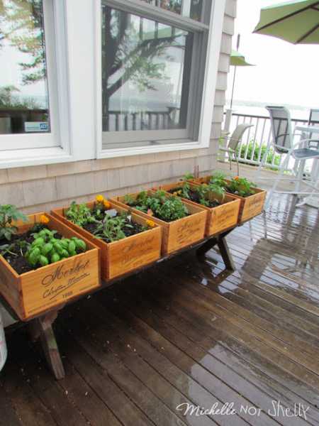 deck-garden