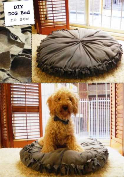 no-sew-dog-bed