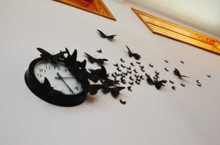 time-flies-butterflies