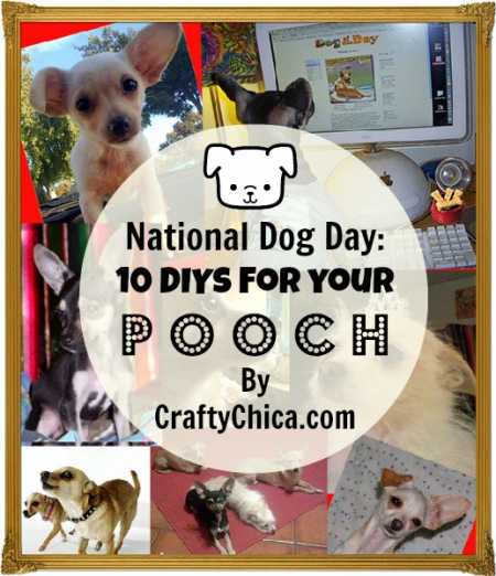 diy-ideas-for-dogs