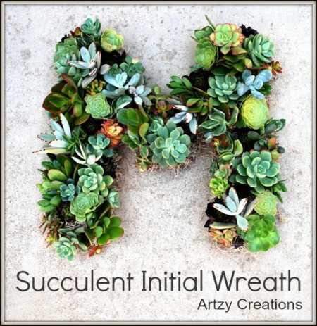 Succluent-Wreath