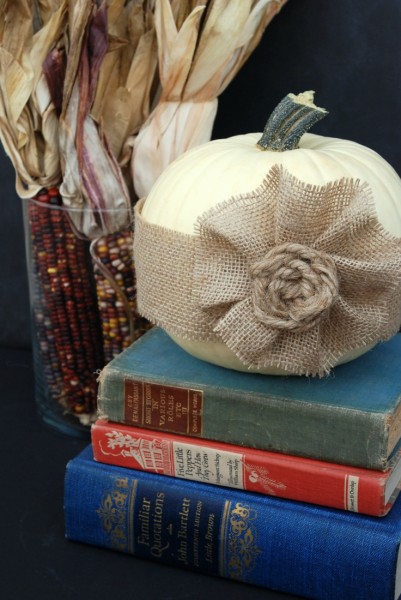 pumpkin-rosette