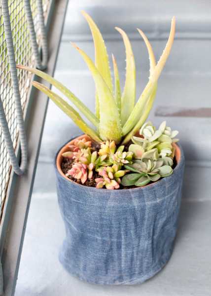 denimpot-flower-pot-cover