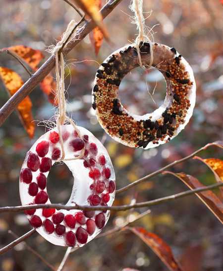 ice-bird-seed-ornaments