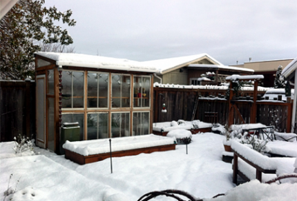 window-frame-greenhouse-in-winter