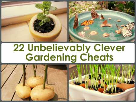 22-Unbelievably-Clever-Gardening-Cheats