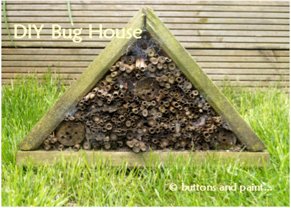 DIY Bug House