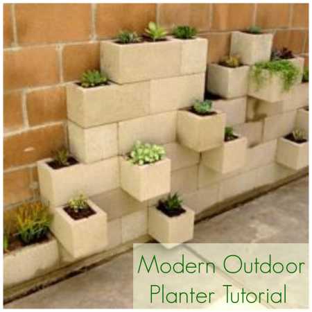 modernplanter