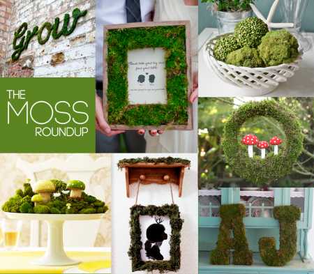 moss