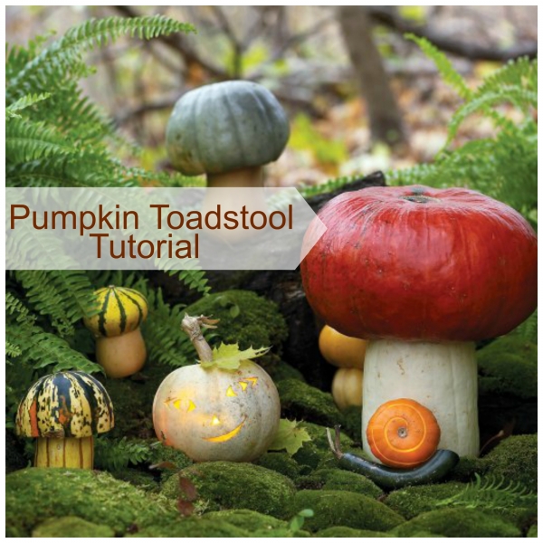 pumpkintoadstools