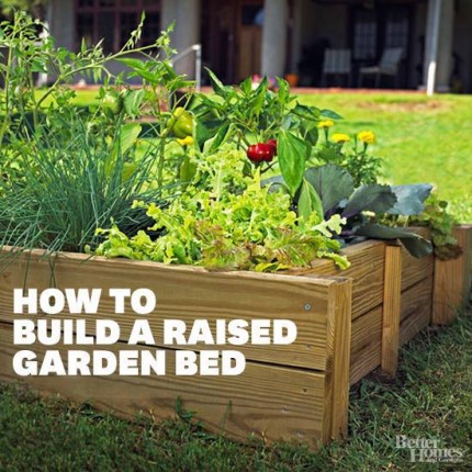 raisedbed