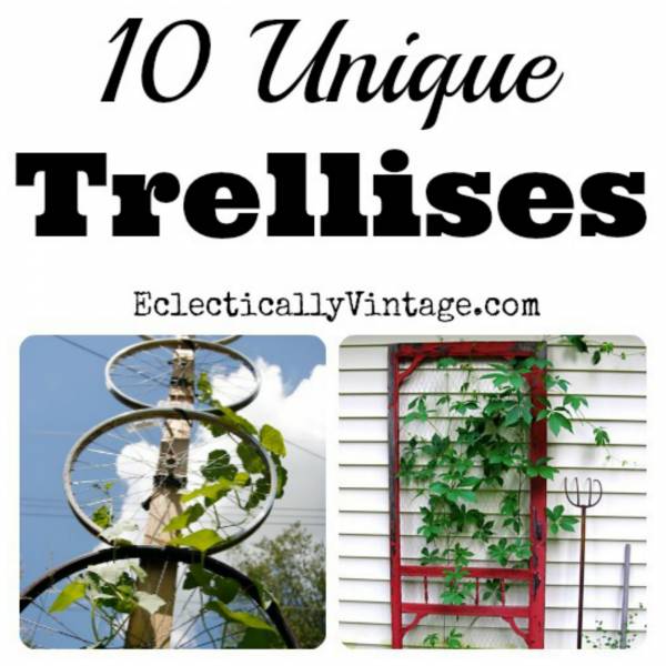 trellis2