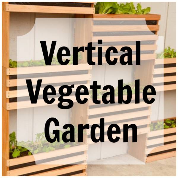 verticalvegetable