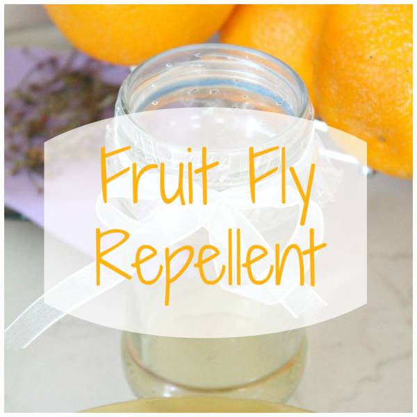 Fruit-fly-control