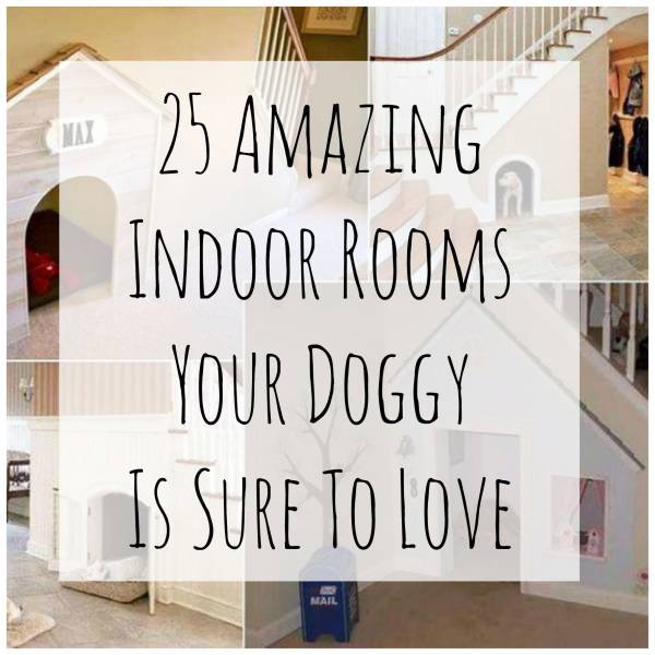 doggyrooms