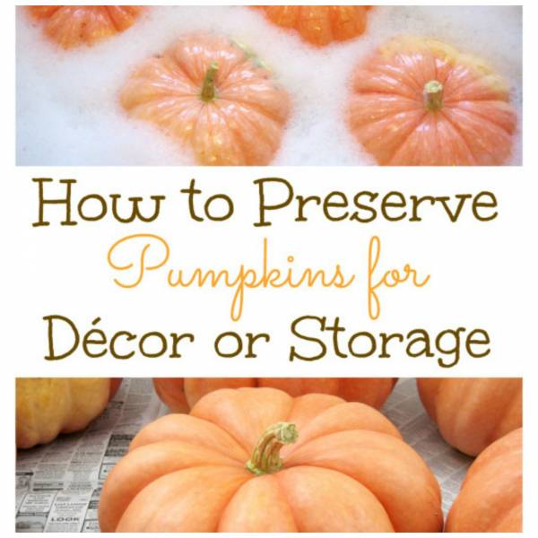 preservepumpkins