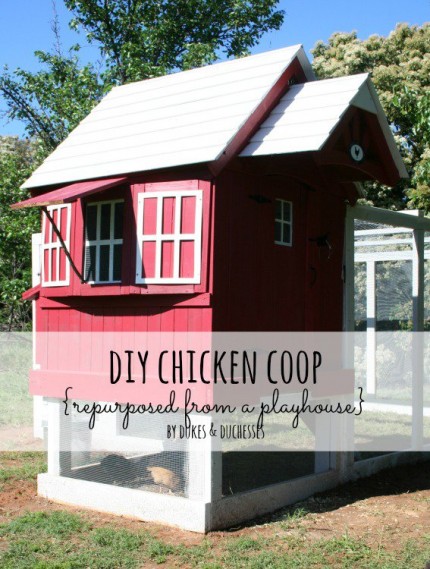 chickencoop