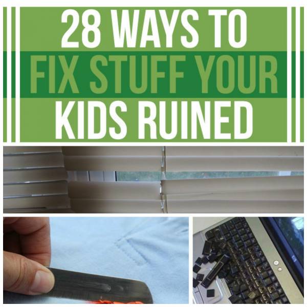 Tips For Fixing Things You Thought Were Broken Home And Garden