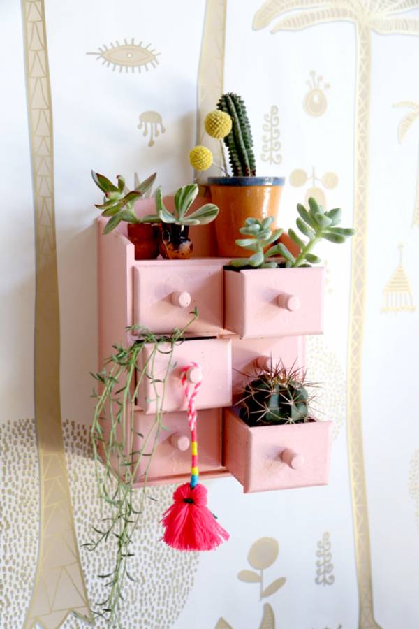 Mini DIY Cactus Cupboard – Home and Garden