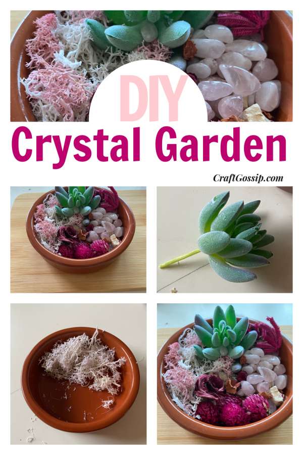 making a crystal garden experiment