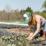 5 Must-Know Secrets to Turning Your Suburban Home into a Profitable, Sustainable Homestead