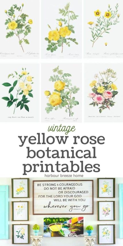 Home and Garden: Free Vintage Flower Printables